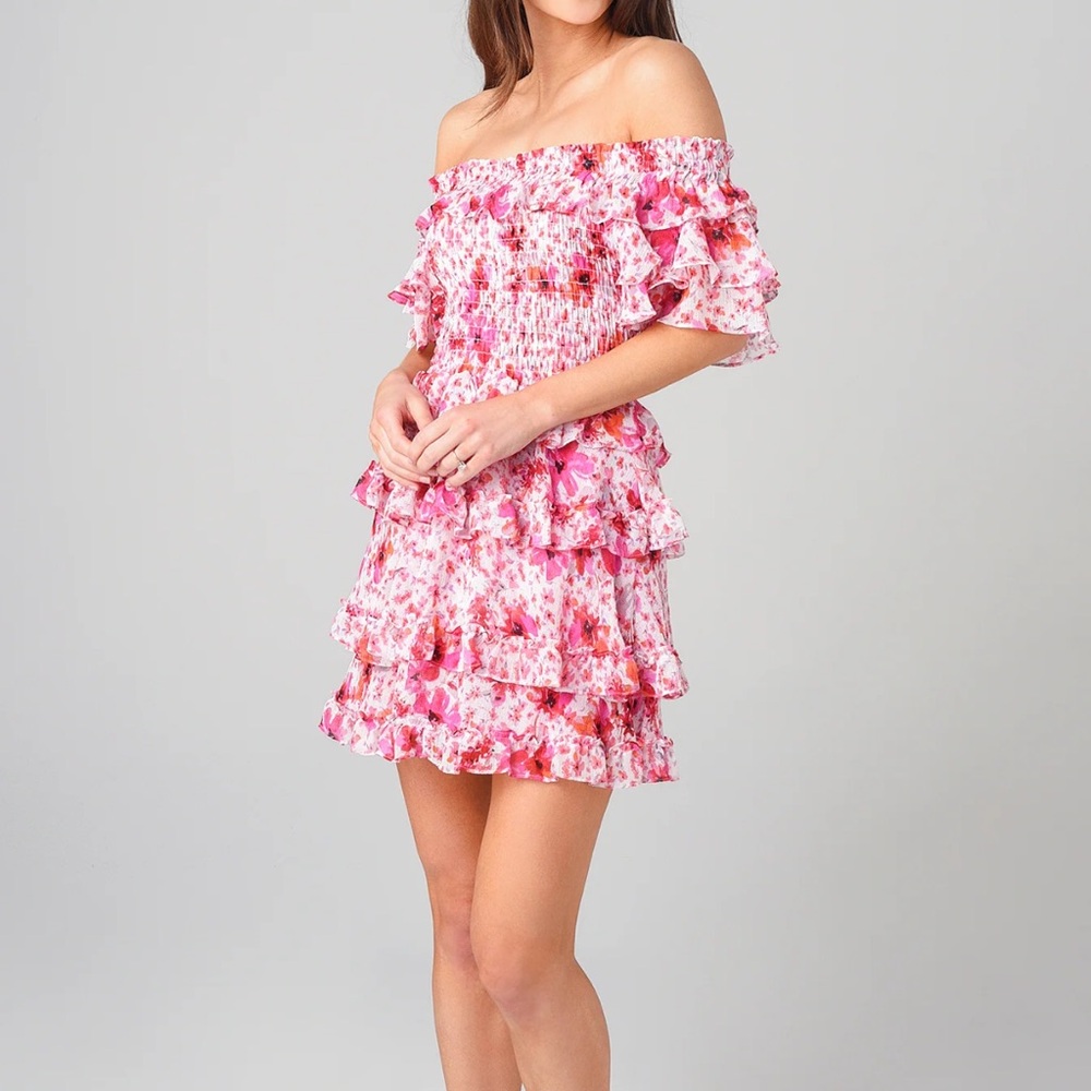 Misa Los Angeles Inga Floral Ruffle Mini Dress